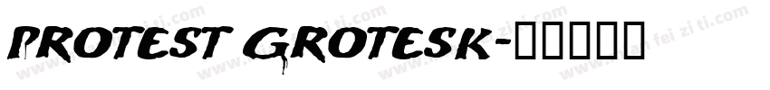 Protest Grotesk字体转换